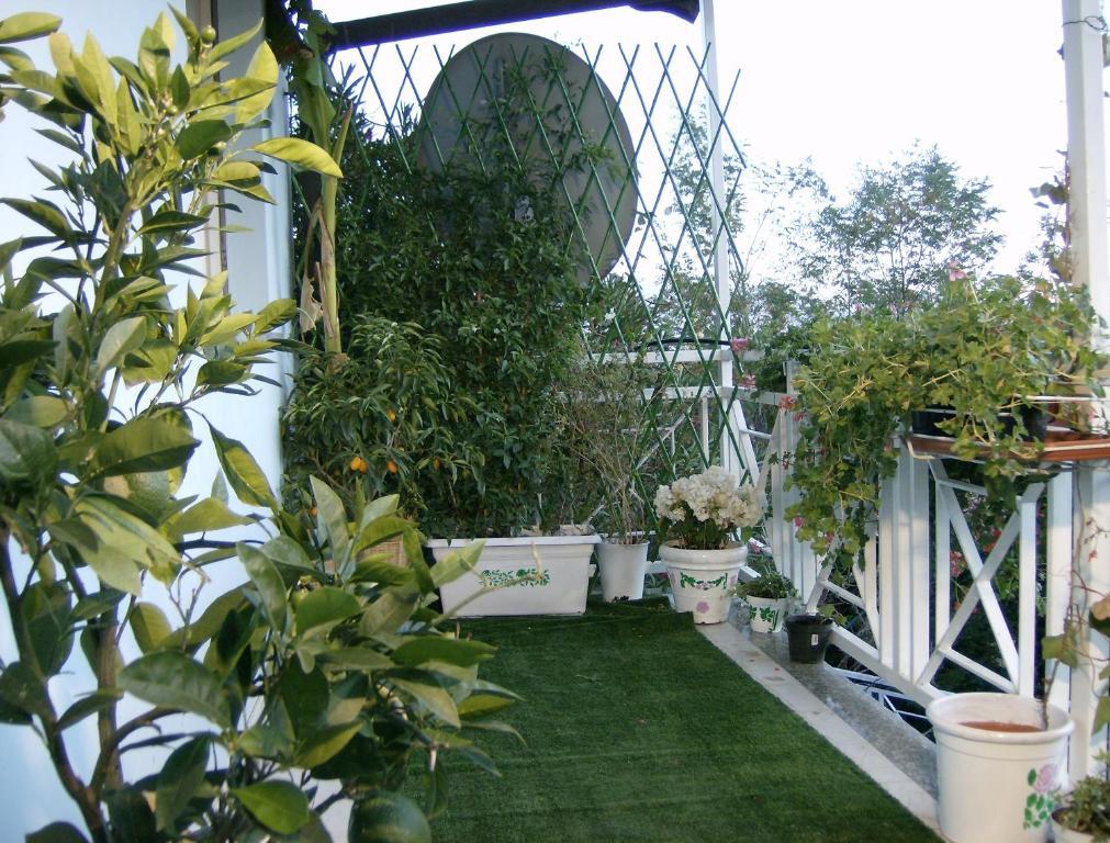 Il Giardino Delle Farfalle Valgioie Ngoại thất bức ảnh