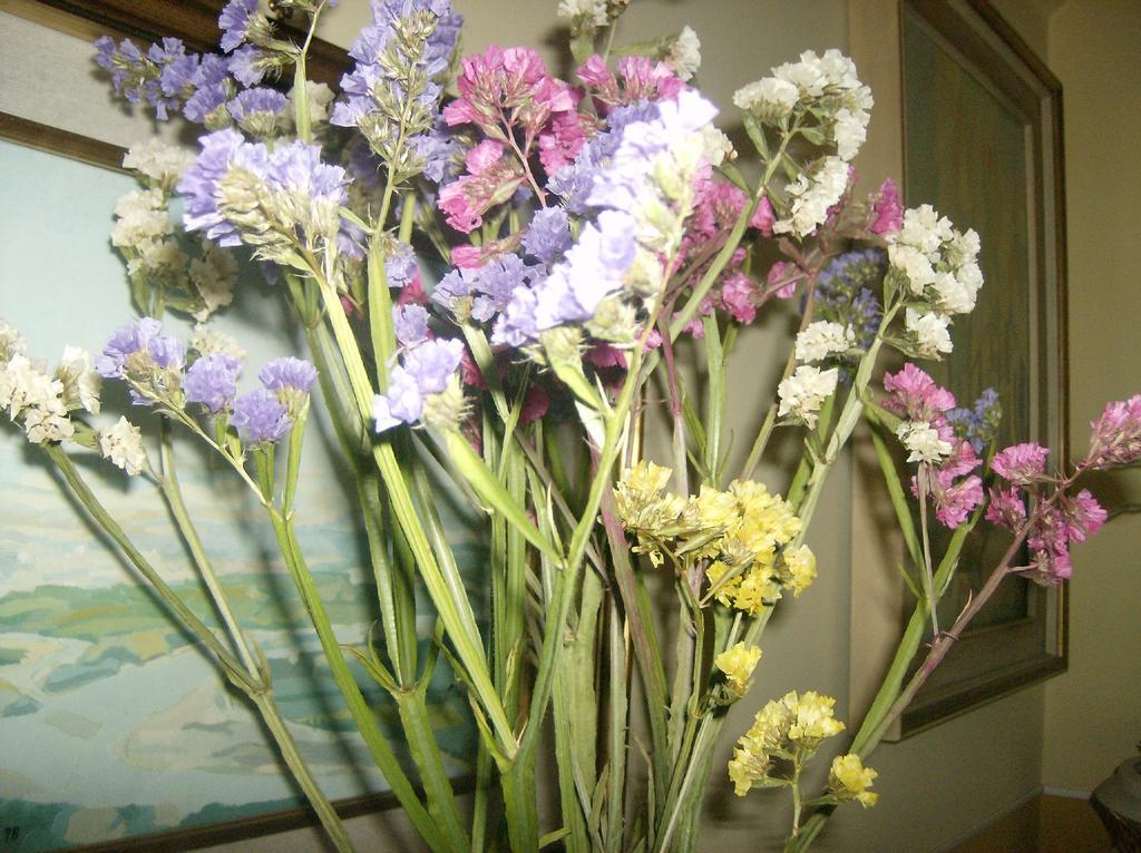Il Giardino Delle Farfalle Valgioie Ngoại thất bức ảnh